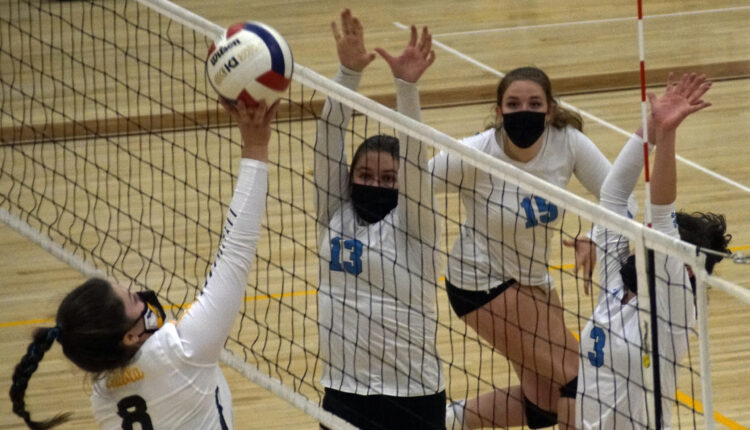 Cougars impressive in swing - Albuquerque Journal

