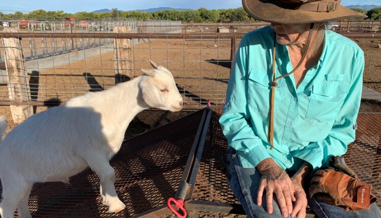‘It’s my livelihood’: Drought and restrictions could kill farms along Rio Grande, farmers say
