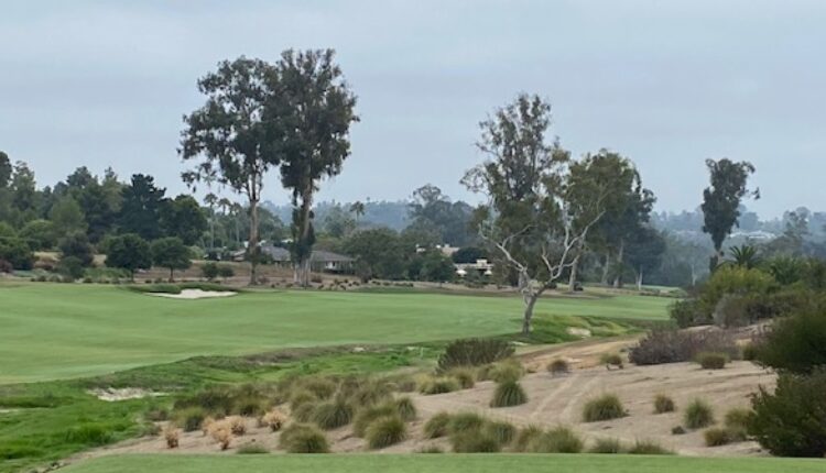 Golf course tree replanting plan moves forward