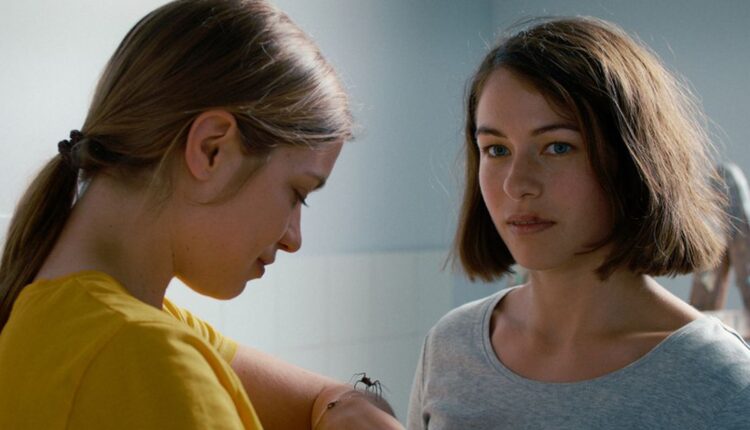 ‘The Girl and the Spider’ Review |