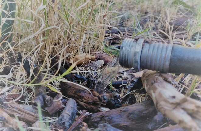 Did you forget a hose in the back of your garden?  LCU warns customers of major overuse of water, but if you see a leak in the city, call LCU 24 hours a day.