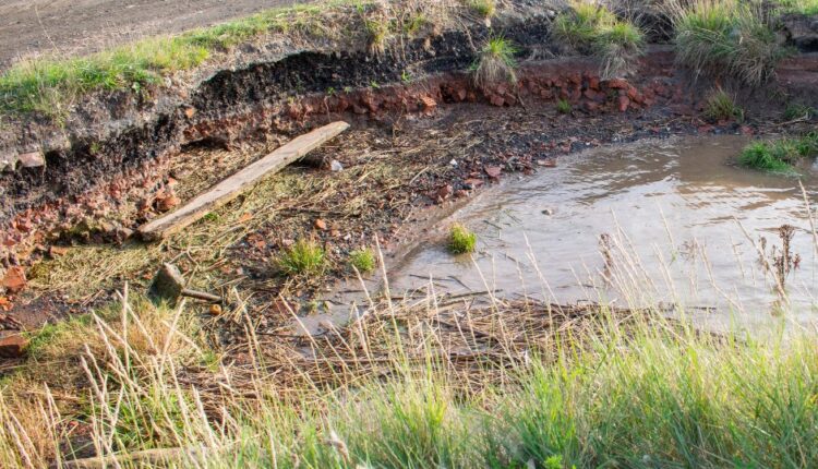 Alabama professor addresses water supply challenges

