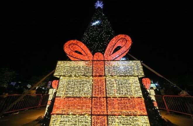 The tree will be lit at the annual Christmas tree lighting ceremony in Las Cruces on Saturday 7 December 2019.