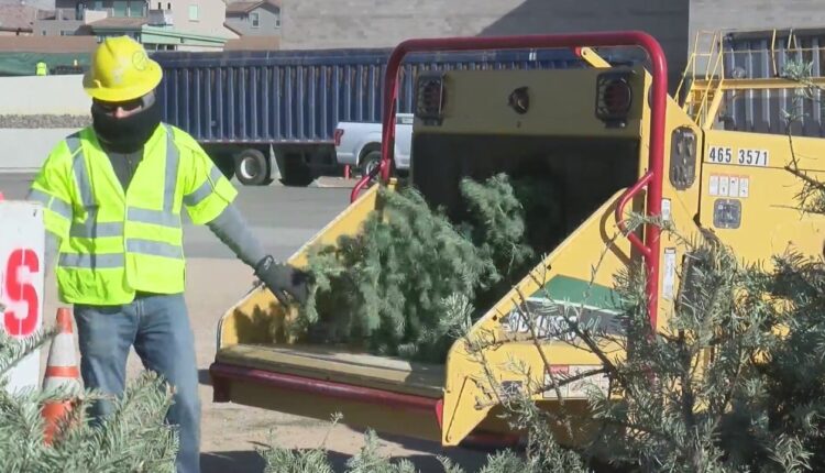 The city of Albuquerque is offering Christmas tree recycling through January 9th

