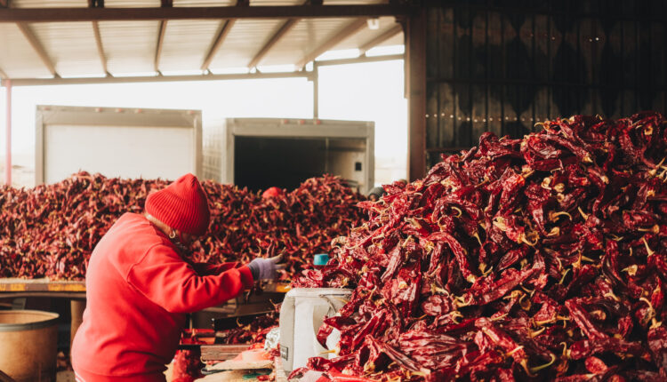 Wage boost for chile workers hangs in the balance, though some say the state could make it happen