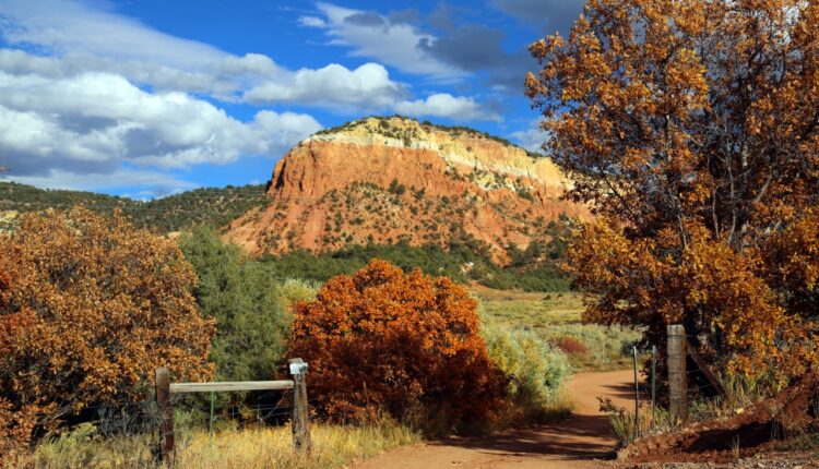 What happens in New Mexico from December 31st to January 6th?

