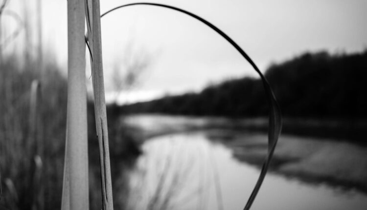 The exhibition looks at the Rio Grande through photography and haiku

