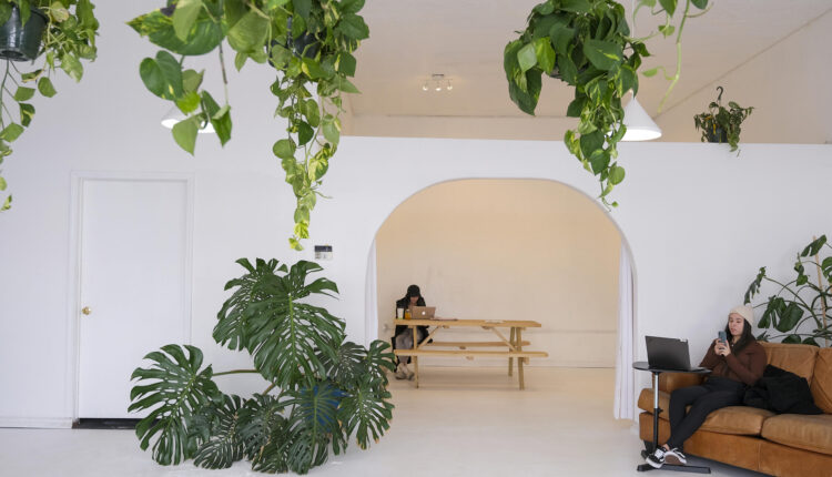 Triple threat: New ABQ shop offers plants, coffee, creative space

