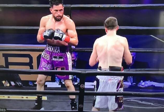 Boxing: Mendoza back in the ring
