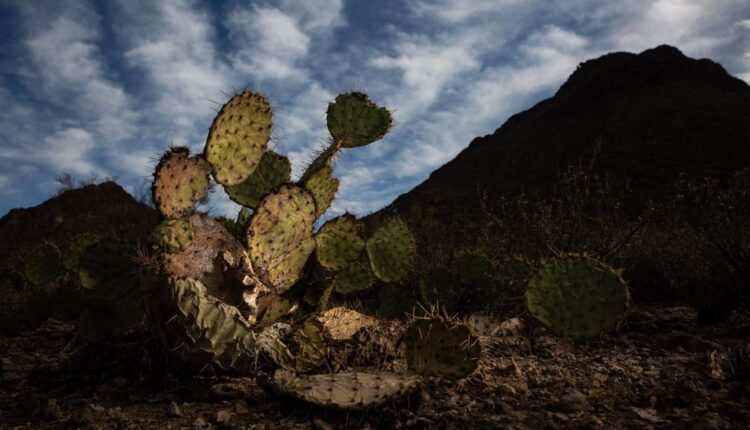  Arizona to endure another hot, dry spring as droughts persist |  Arizona and Regional News
