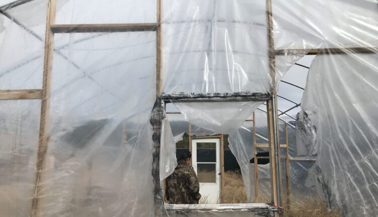 Picuris Pueblo works to preserve its independence through N.M. recreational cannabis industry