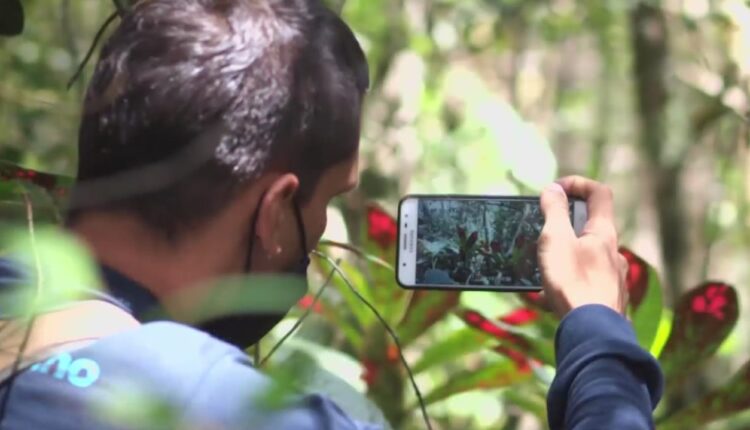 Cite of Albuquerque hosts nature photo challenge
