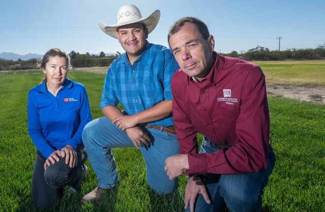 Bernd Leinauer, right, Regents Professor and turfgrass Extension specialist in the College of Agricultural, Consumer and Environmental Sciences, has been working to enhance the public's understanding of turfgrass management, which includes getting students like undergraduate Armando Almanza, center, involved to learn more about it.  Almanza worked with Leinauer and senior research scientist Elena Sevostianova, left, along with colleagues nationwide, to examine how turfgrass management was impacted during COVID-19, and what that really meant for public parks, athletic fields and golf courses.