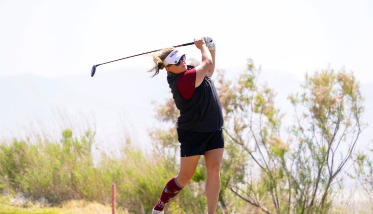 New Mexico State