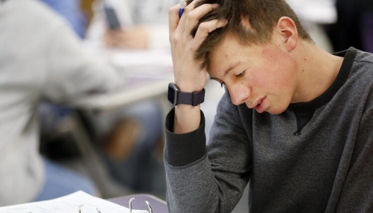 New Mexico aims to reverse trend of poor math scores | Education