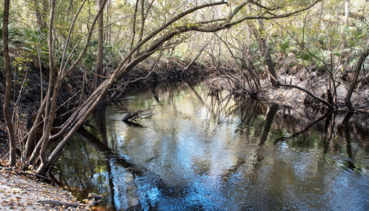 Santa Fe River
