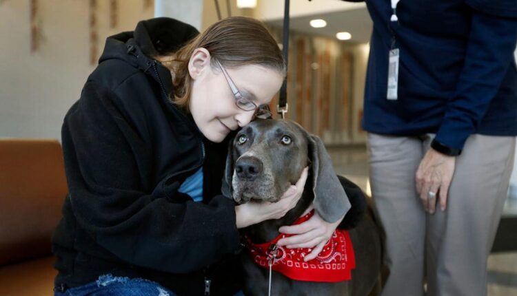  At Roswell, dog that beat cancer provides joy and comfort to patients |  Local News
