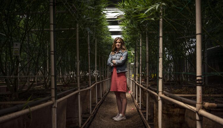 Meet some of the women powering New Mexico's cannabis industry