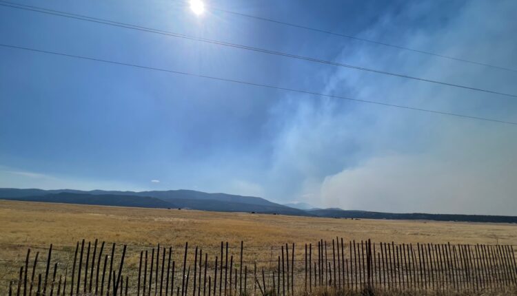 Calf Canyon wildfire also caused by a prescribed burn, investigators say