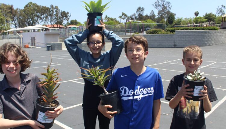Rowe students gifted with plants