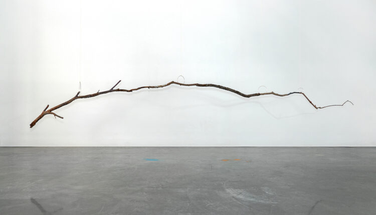 A Studio Visit With Jillian Conrad
