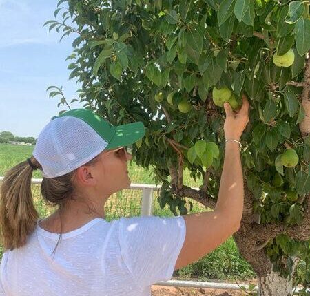 Ag business in Rio Rancho area, Corrales, intern training offered
