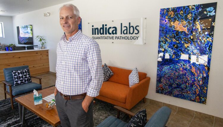 Flying 40: NM tech firms large and small report major growth
