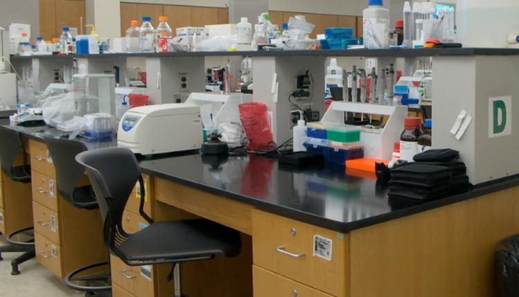 Santa Fe College STEM camp inspires young scientists and engineers