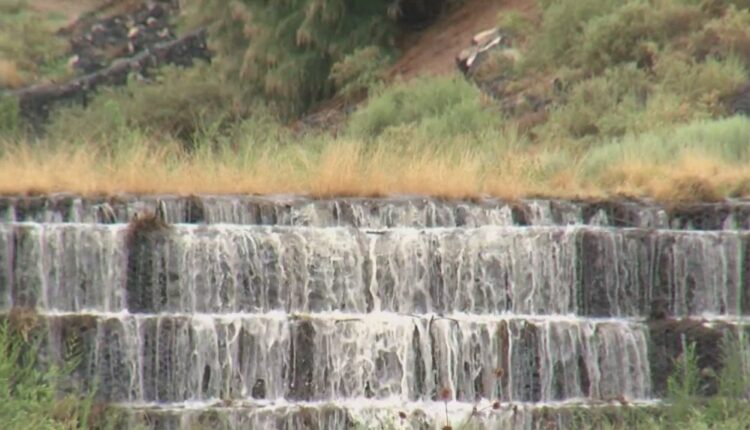 Officials say this is Albuquerque's second rainiest start to the monsoon season
