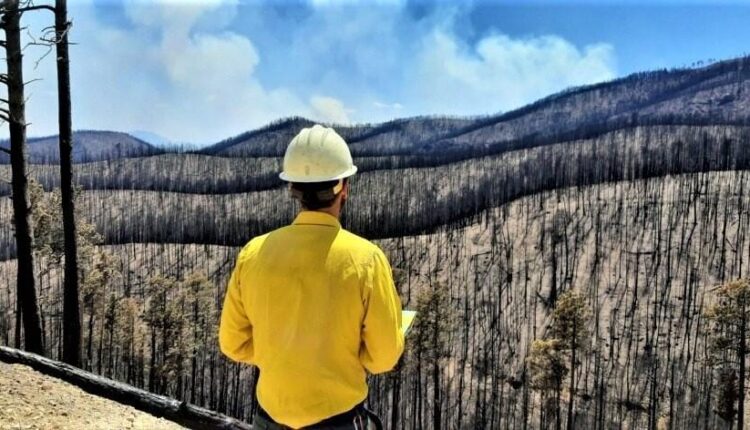Editorial: Forest Service must take its missteps and health of our forests to heart
