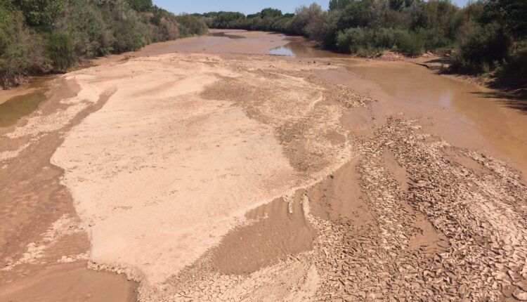 As drought continues, river flows dwindle in Albuquerque area
