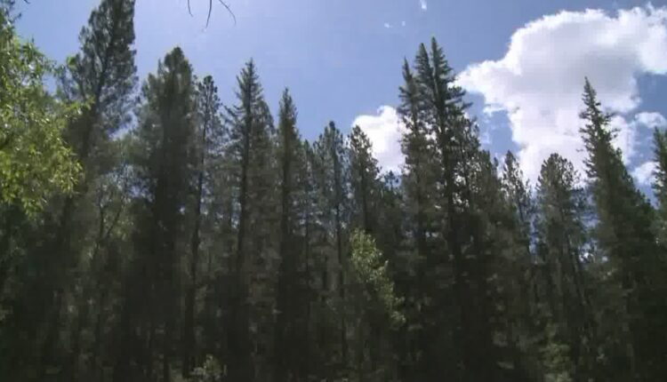 New Mexico lifts restrictions