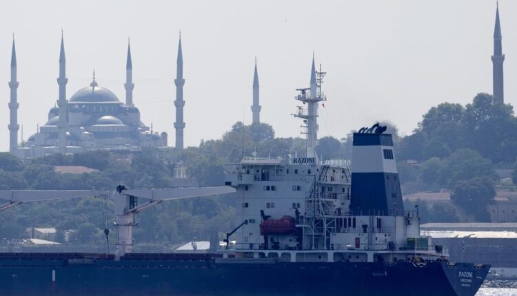 3 more ships with grain depart Ukraine ports under UN deal

