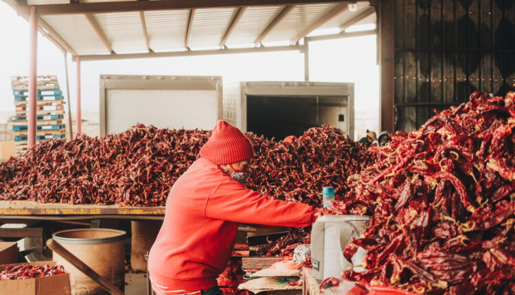 Farm bill season arrives: What’s the outlook for 2023?