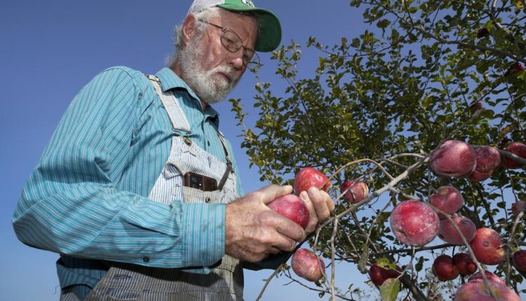 More consumers buying organic, but US farmers still wary
