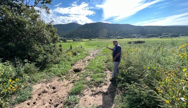 As government roadblocks pile up for acequias in the burn scar, visions spring of a gran limpia