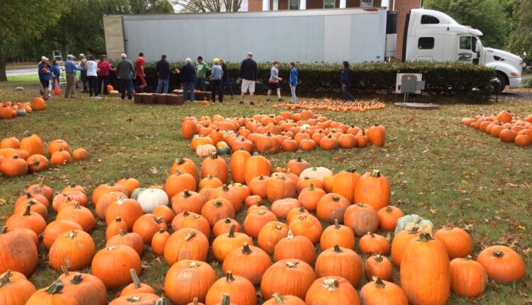 Yardley Methodist's Pumpkin Patch Receives Food Donations for Penndel Food Pantry – thereporteronline
