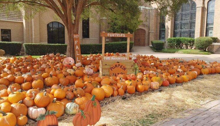  Pumpkin Patch opens at First United Methodist Church |  News

