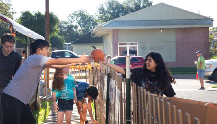  Pumpkins arrive to signal the beginning of fall |  For Subscribers Only
