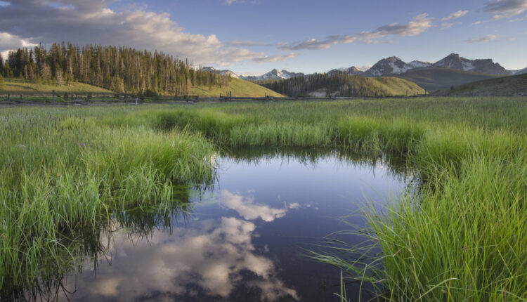 U.S. Supreme Court mulls federal water rules, wetlands designations in Idaho case