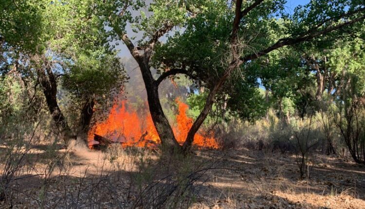 City targeting frequent bosque fires
