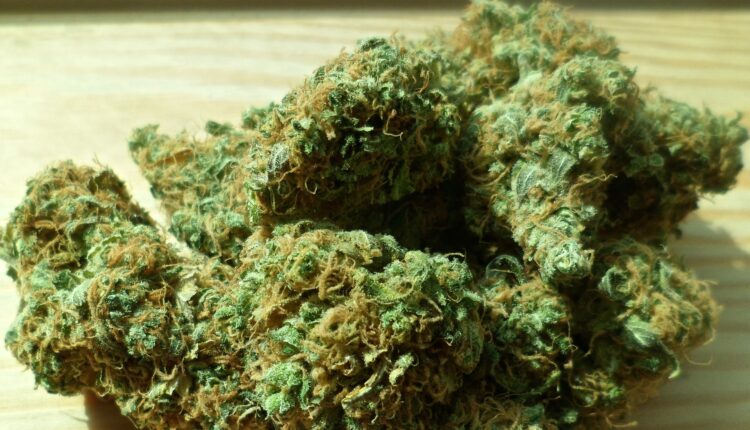 Blunts: Eagle Nest Ordinance Questioned
