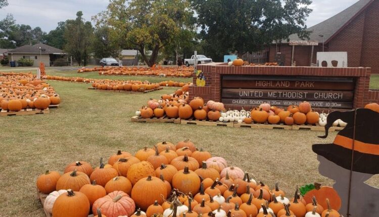  Here comes fall: Volunteer at the pumpkin patch to get in the Halloween spirit |  entertainment
