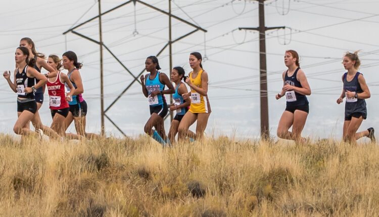 Prep cross country: West, Futey shine at Metro Championship
