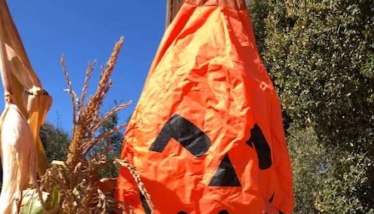 Oct. 13: Local and regional events