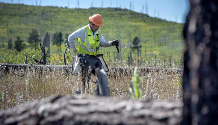 Seeding the future - Albuquerque Journal
