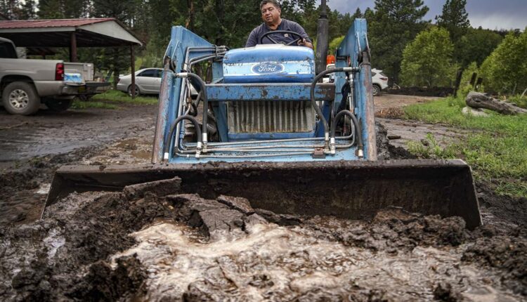Federal government dispensing wildfire recovery money for agriculture | Local News