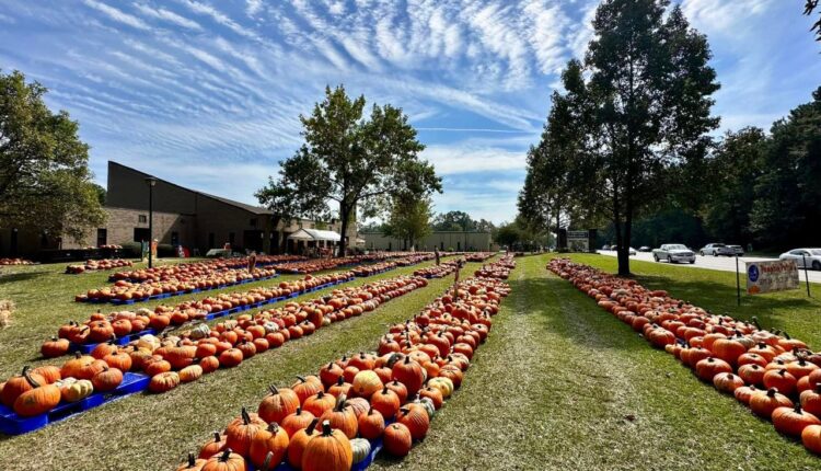 Pumpkin-Patch.jpg