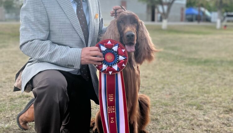 Mesilla Valley Kennel Club, Inc. – Sunday, October 23, 2022
