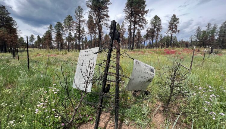 The feds have detailed imaging of NM fire damage, but they won’t hand it over, victims say